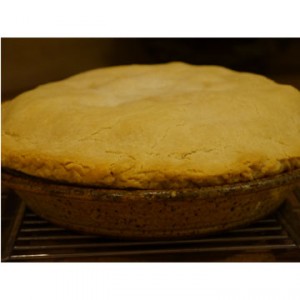 The Best Picnic Food- Apple Pie!