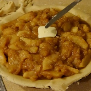 The Best Picnic Food- Apple Pie!