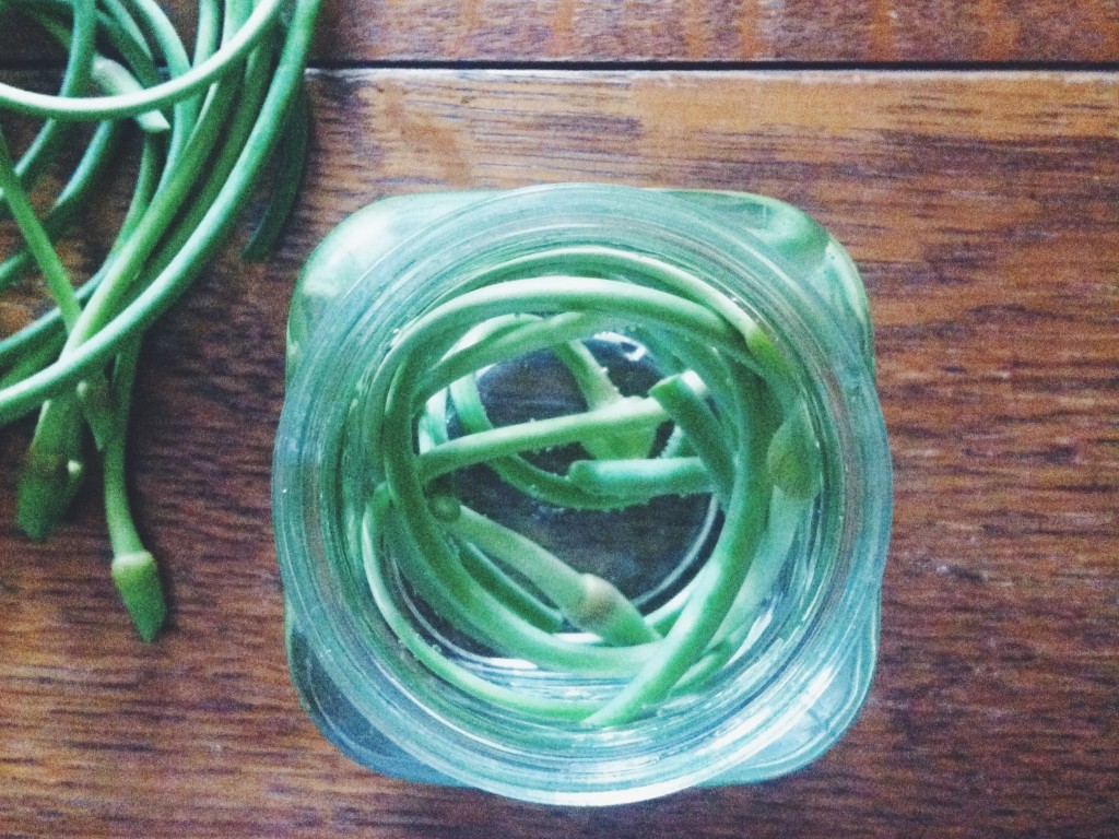 Garlic Scape?