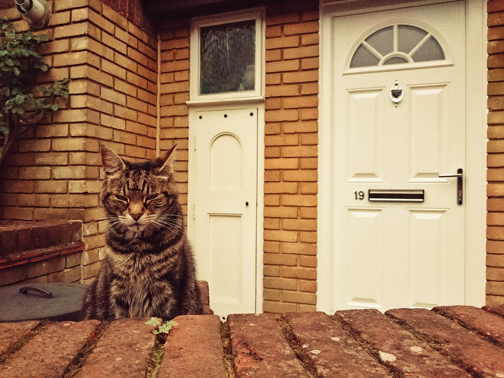 Resource Guarding in Multi-Cat Homes